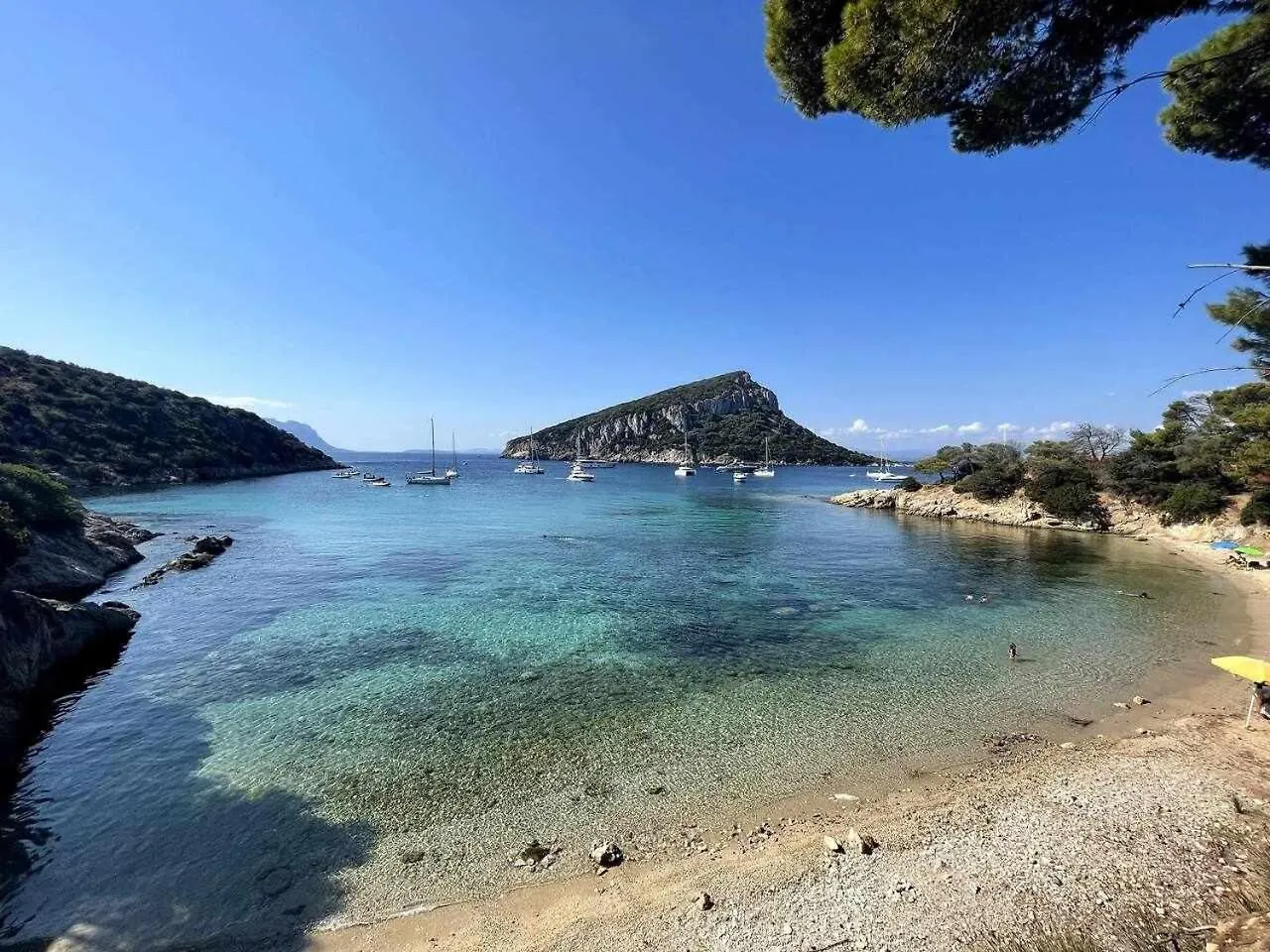 Apartment Camera Ponente Vista Mare Spiaggia A 300M Golfo Aranci